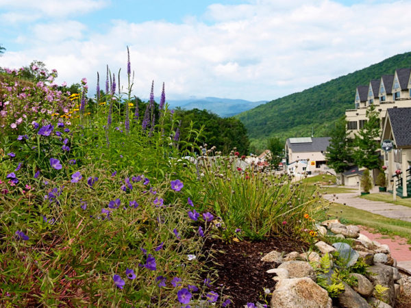 Summer at The Mountain Club on Loon