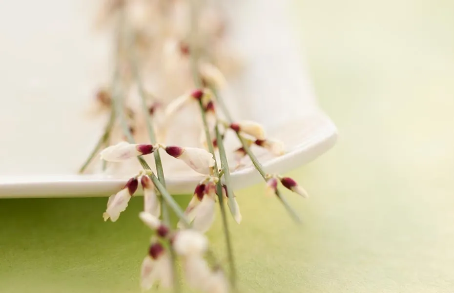 viaggio spa, bridal packages, women with drinks, mountain club on loon spa day